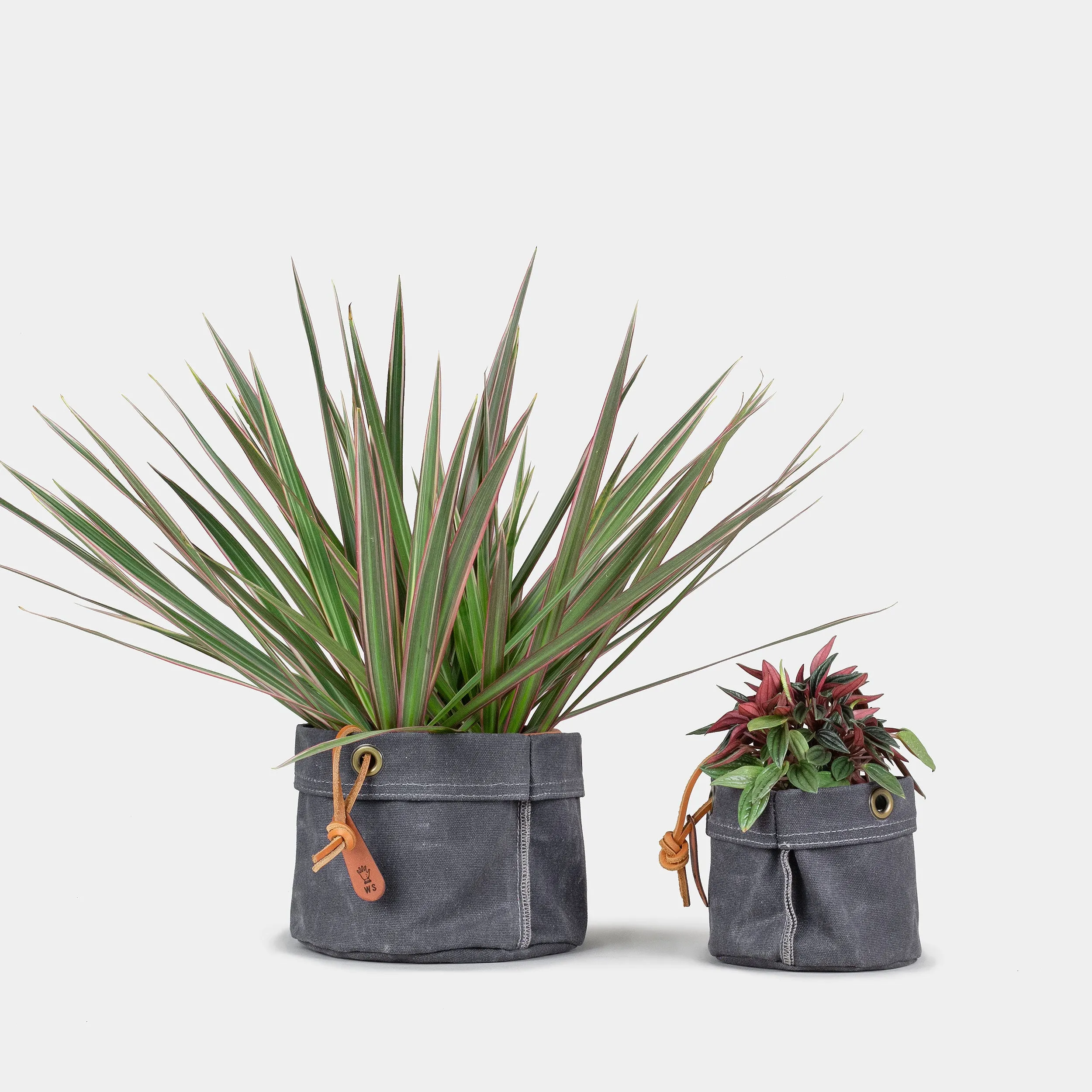 Medium Waxed Canvas Planter #104