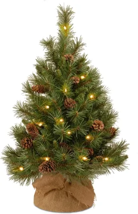National Tree Company Pre-Lit Artificial Christmas Tree, Green, Pine Cone, White LED Lights, Includes Cloth Bag Base, Battery Operated, 3 Feet